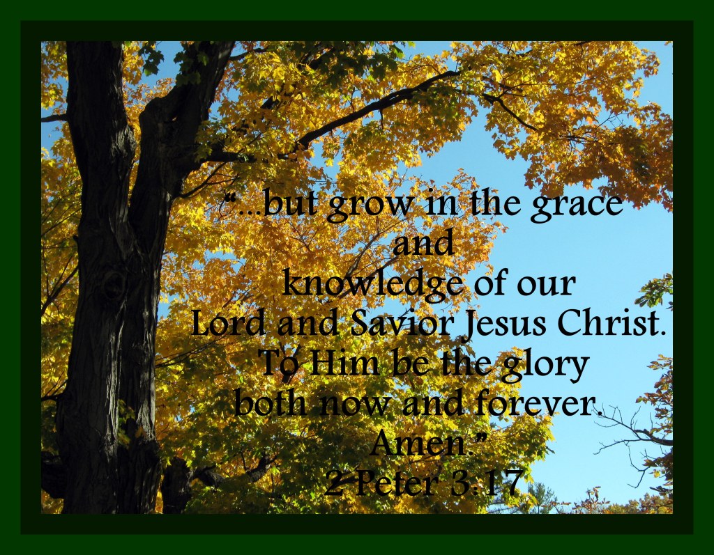 graceful golden maple 2 peter 3 17