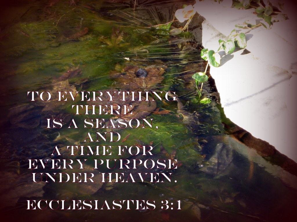 winter pond Ecclesiastes 3 1