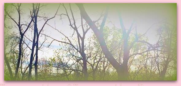 11149392_1595970583983978_647260049492654825_n-002