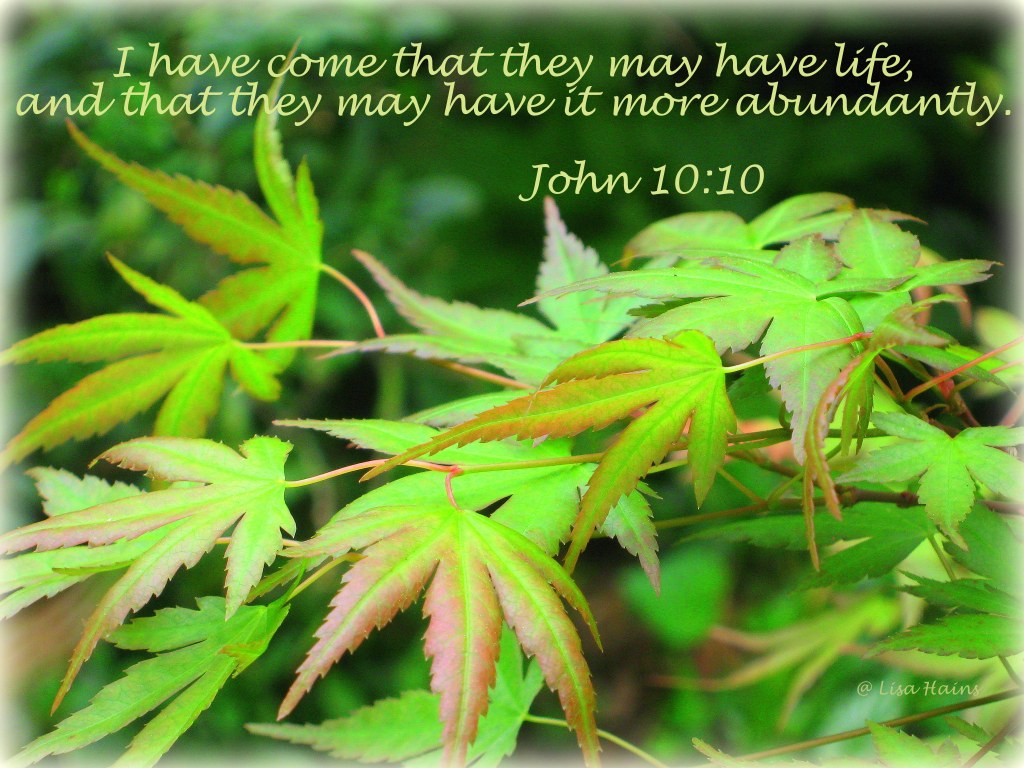 John 10 10    life more abundant